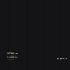 Kamran Sadeghi : Vessel (12")