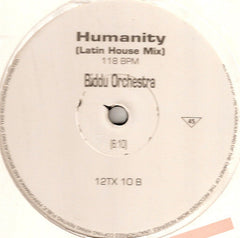 Biddu Orchestra Featuring Erica Holland : Foundation Of Love (12", Promo)