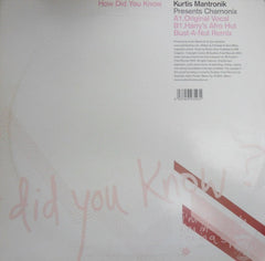 Kurtis Mantronik Presents Chamonix : How Did You Know (12")