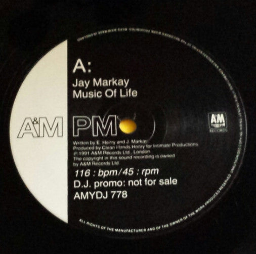 Jay Markay : Music Of Life (12", Promo)