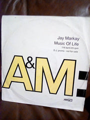 Jay Markay : Music Of Life (12", Promo)