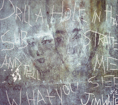 Jim White : Drill A Hole In That Substrate And Tell Me What You See (CD, Album)