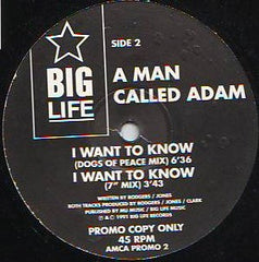 A Man Called Adam : I Want To Know (12", Advance, Promo)