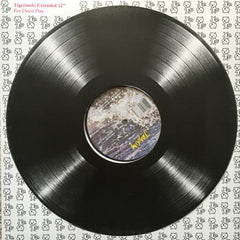Joakim : Forever Young (12")