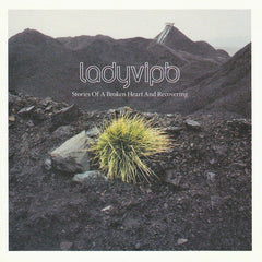 Ladyvipb : Stories Of A Broken Heart And Recovering (CD, Album)