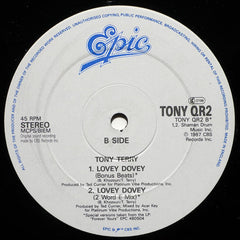 Tony Terry : Lovey Dovey (Reggae Mix) (12")