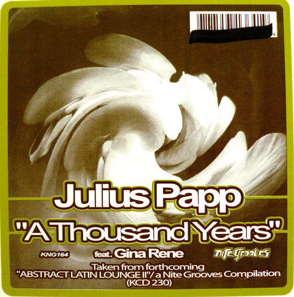 Julius Papp Feat. Gina Rene : A Thousand Years (12")