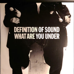 Definition Of Sound : What Are You Under (12", Single)