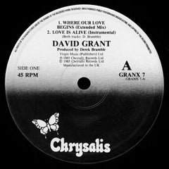David Grant : Where Our Love Begins (12")