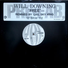 Will Downing : Free (12", Promo)