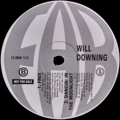 Will Downing : Free (12", Promo)