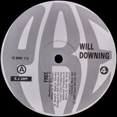 Will Downing : Free (12", Promo)