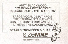 Andy Blackwood : I'm Gonna Get To You (2x12", Promo)