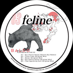 Baldo : Playing With Fire EP (12", EP)
