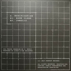 TMSV – Modification Perfect Records - PRF001