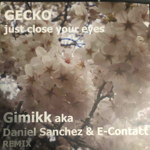 Gecko : Just Close Your Eyes 2.8 (12")