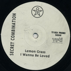Secret Combination : Ultra Vista (12", Promo)
