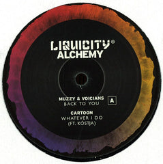 Various – Alchemy Sampler 12" Liquicity Records – LIQUICITY007V