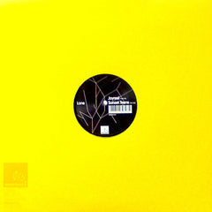 Lone - Joyreel / Sunset Teens 12" Werk Discs WERK 017