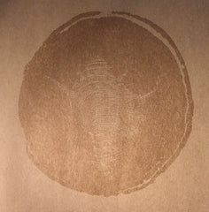 Desolate - Withering Beauty EP - Fauxpas Musik – FAUXPAS 018
