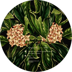 Tomppabeats – Summer Lover - Yellow Flower – YF002