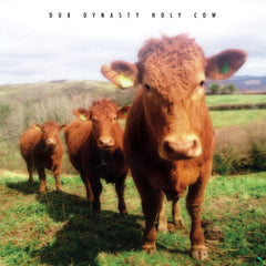 Dub Dynasty – Holy Cow - Steppas – ASLP005
