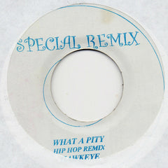 Hawkeye - What A Pity - Special Remix