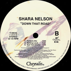 Shara Nelson - Down That Road 12" Chrysalis Y-58036