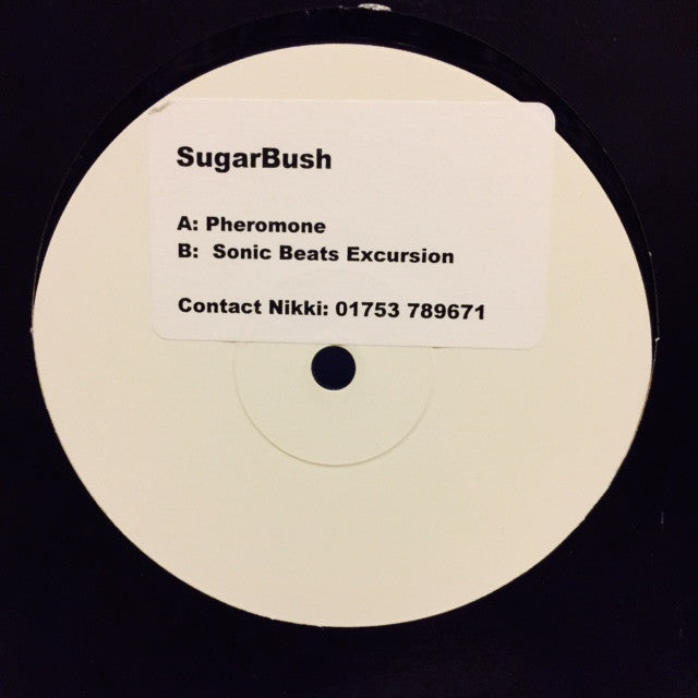 Tom Hayes - SugarBush 12" PROMO KUBT04 Kubik