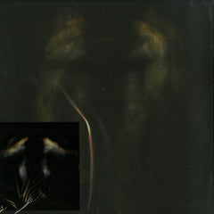 Sunny Charles – DLNOIW The Remixes Sleep Is Commercial – SIC018