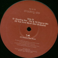 Flip & Fill - Shooting Star 12" 12GLOBE258 All Around The World