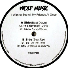 Various – I Wanna See All My Friends At Once Wolf Music Recordings – WOLFEP003