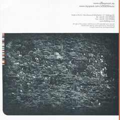 Raiden - Forbidden Fruit / Bogota 12" VOOMUSIC004 Voodoo Music