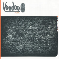 Raiden - Forbidden Fruit / Bogota 12" VOOMUSIC004 Voodoo Music
