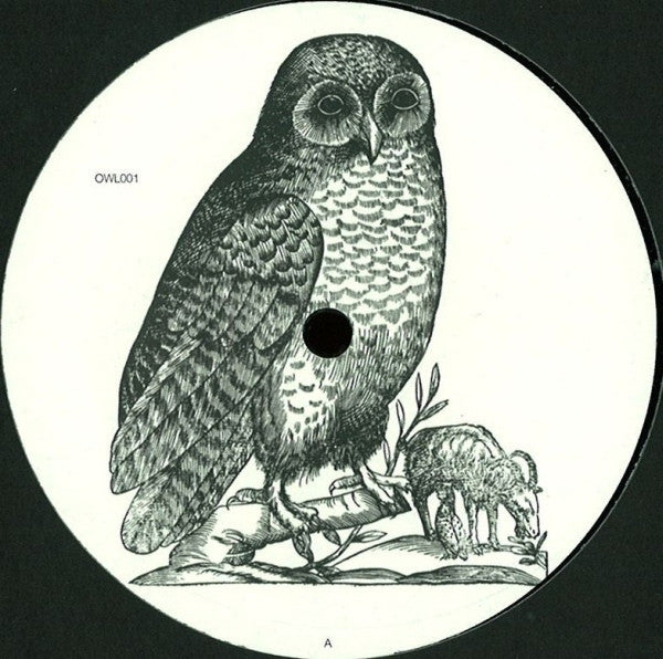 Unknown Artist – Untitled Owl - OWL001
