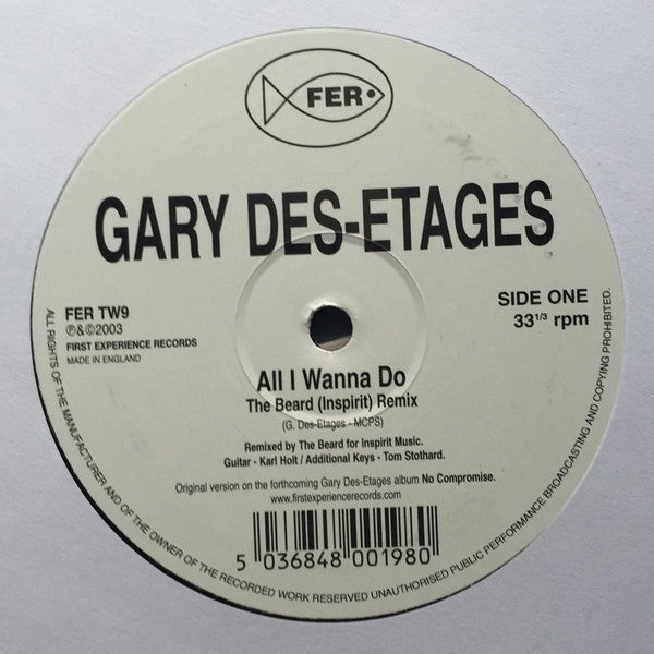 Gary Des Etages - All I Wanna Do 12" First Experience Records – FER TW9