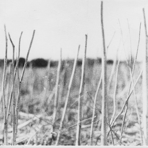 Recondite – On Acid Absurd Recordings, Acid Test ATLP01