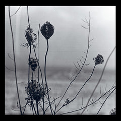 Recondite – Placid - Acid Test, Absurd Recordings – ATLP-06