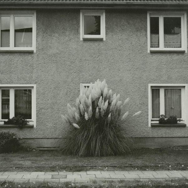 Timboletti - Hintersee Acker Records ACKERRECORDS48
