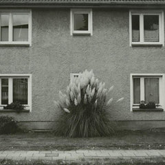 Timboletti - Hintersee Acker Records ACKERRECORDS48