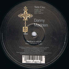 Danny Madden - The Facts Of Life (Presenting The Remix) 12" YZ473TX Eternal
