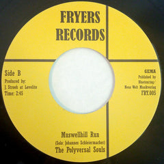 The Polyversal Souls : Sad Nile (7")