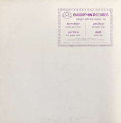 Flowchart / Pacifica / Mall : Hangin' With The Homos (12", EP)