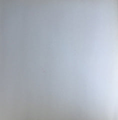 Flowchart / Pacifica / Mall : Hangin' With The Homos (12", EP)