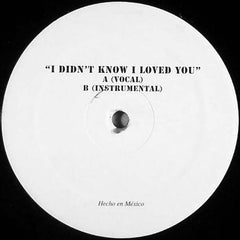 Planet Patrol : I Didn't Know I Loved You (Till I Saw You Rock & Roll) (12", Unofficial)