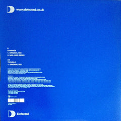 Sandy Rivera Featuring Haze : Changes (12")