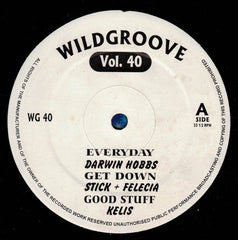 Various : Wildgroove Vol. 40 (12")