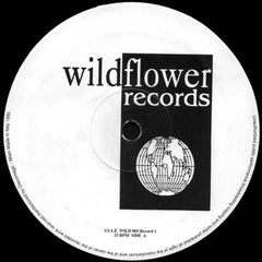 Alex Neri : Planet Funk (2x12")