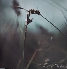 H.O.S.H. : Stories From Sa Talaia (Chapter IV) (12", EP)