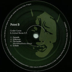 Point B : Cinder Cones & Animal Bones (12", EP)